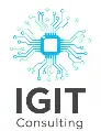 IGIT Consulting